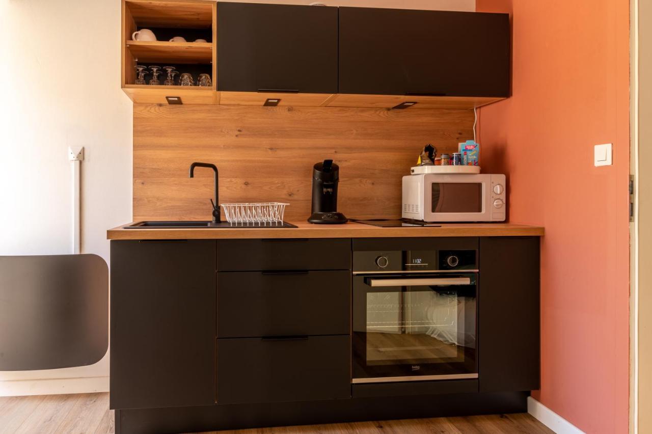 Appartement Cosy Avec Jardin Au Centre Historique De Selestat & Proche Europa-Park Eksteriør billede